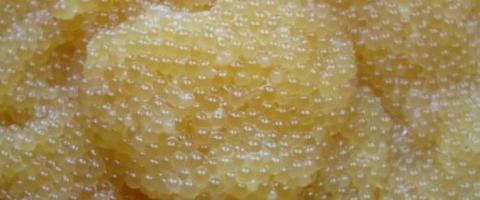 Mga pancake na may pilak na carp caviar