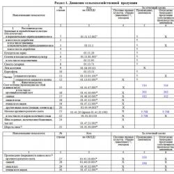 Form 4 сх from 28.07.  Taxes and economic activity.  III.  The procedure for filling out section II “Industrial crops”