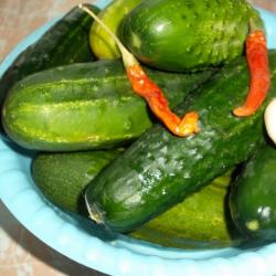 Classic and original recipes for pickled cucumbers for the winter: in a bucket and in a barrel