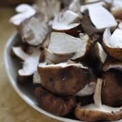 How to preserve porcini mushrooms at home A quick way to preserve mushrooms at home