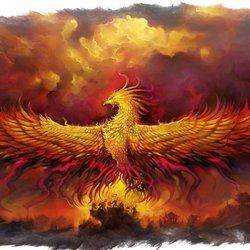 Why do you dream about the phoenix bird? Miller