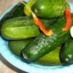 Klasikiniai ir originalūs marinuotų agurkų receptai žiemai: kibire ir statinėje