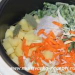 Borscht in a multicooker Redmond Cooking Ukrainian borscht from chicken in a multicooker