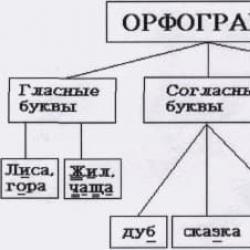 Šta je ortogram na ruskom?